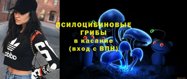 герыч Елабуга