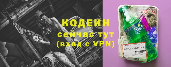 эйфоретик Ельня