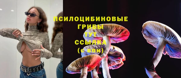 марихуана Заводоуковск