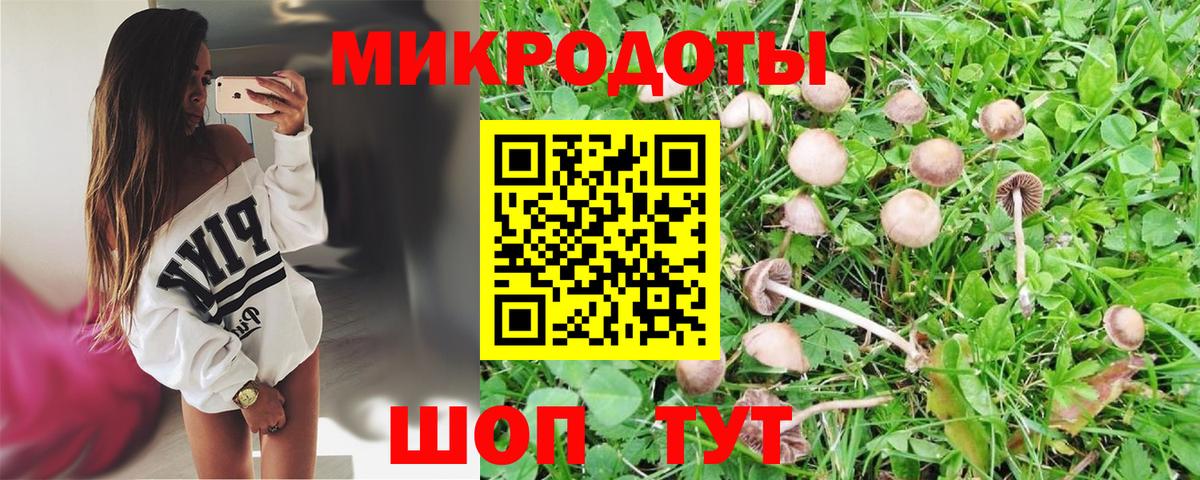 Когалым  Псилоцибиновые грибы мицелий  Вход с VPN 