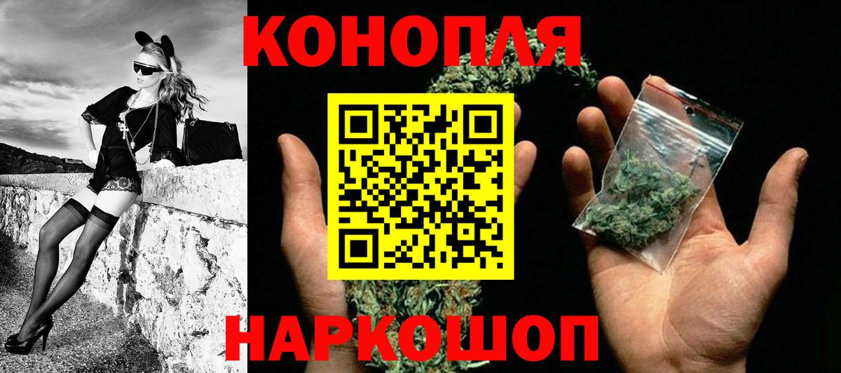 Каннабис планчик Когалым